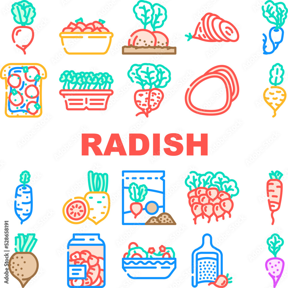 radish food organic vegetable icons set vector. healthy plant, garden nature, red ripe ingridient, natural root, vitamin nutrition radish food organic vegetable color line illustrations