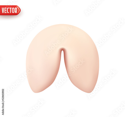 Fortune cookies. Realistic 3d design element. Icon isolated on white background. Vector illustration