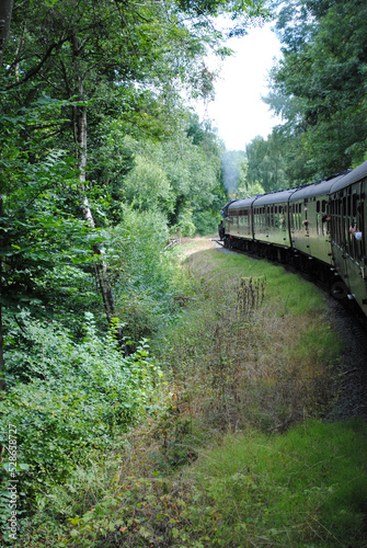 Steam Locomotive and Train in Forested Countryside 