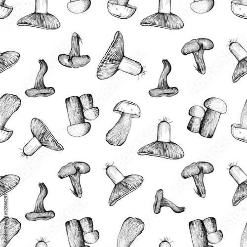 Seamless pattern with forest assorted mushrooms on a white background. Hand drawn vector illustration