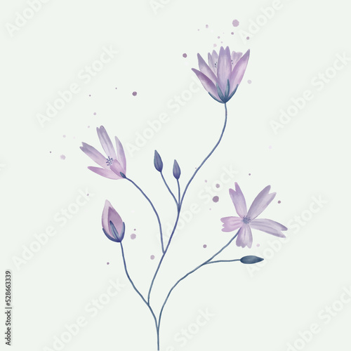 Vector watercolour drawing. delicate design for wedding and decoration