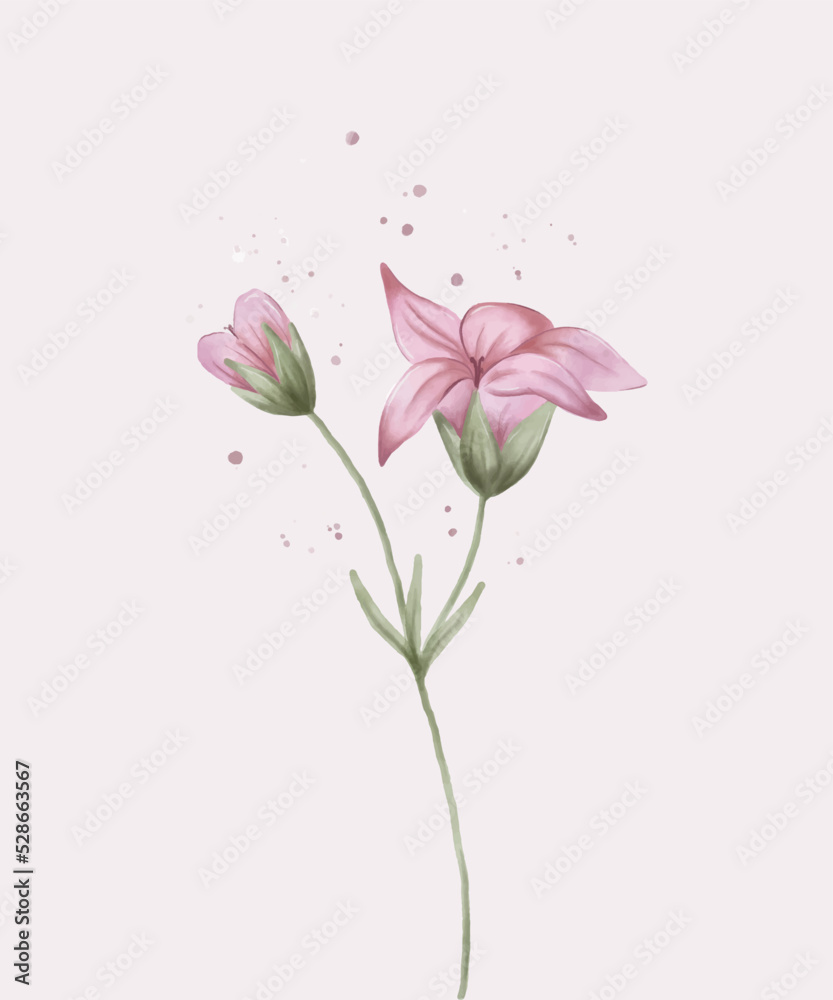 A soft pink flower on a long stem with leaves. Watercolour illustration. Botanical art A soft pink flower on a long stem with leaves. Watercolour illustration. Botanical art