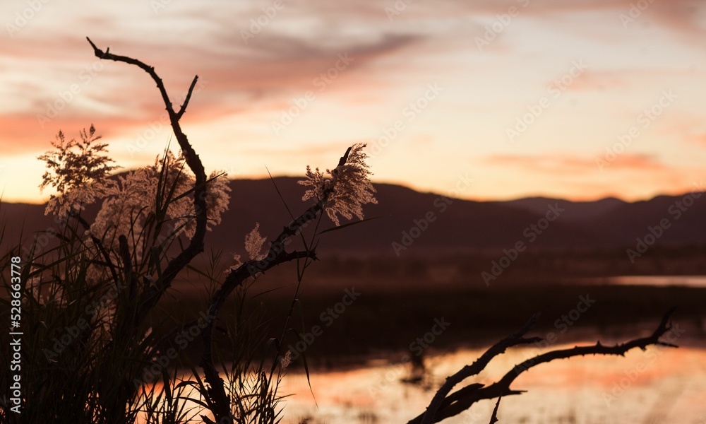 Fototapeta premium Lake at sunset
