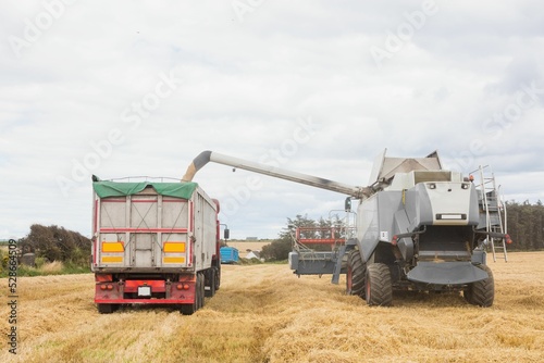 Use of big harvester