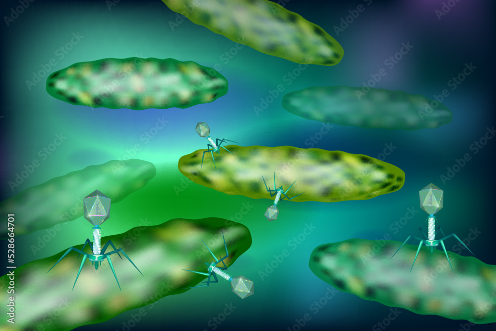 Phage inserting its DNA into a bacterium. Bacteriophage infecting bacterium illustration. Microbiology, medical, bacteriology, infection concepts. Phage inserting its DNA into a bacterium. Bacteriophage infecting bacterium illustration. Microbiology, medical, bacteriology, infection concepts.