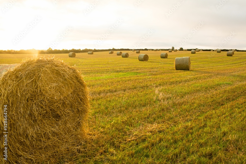 Hay bale on farm field against cloudy sky