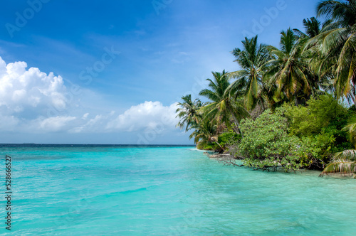 Beautiful Maldives island, beach with palm trees and azure water. Vacation concept travel holiday background banner. Maldives paradise beach. Luxury travel to tropical paradise. © Vera