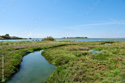 porto caleri photo