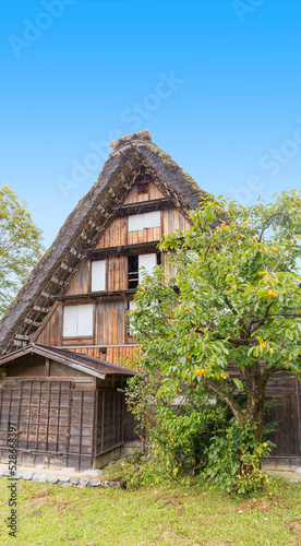 白川郷 白川村 合掌集落 風景 世界遺産 