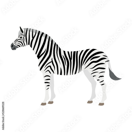 Vector flat zebra isolated on white background
