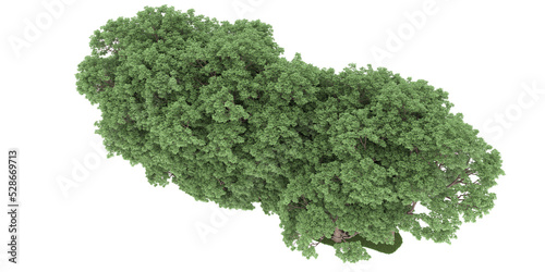 Forest on transparent background. 3d rendering - illustration