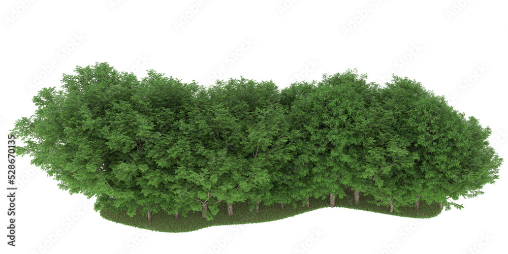 Obraz premium Forest on transparent background. 3d rendering - illustration