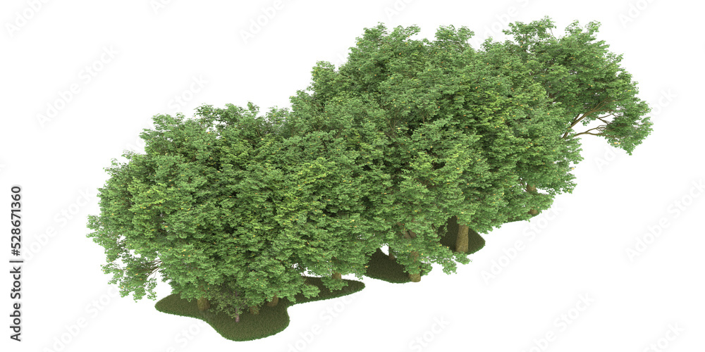 Obraz premium Forest on transparent background. 3d rendering - illustration