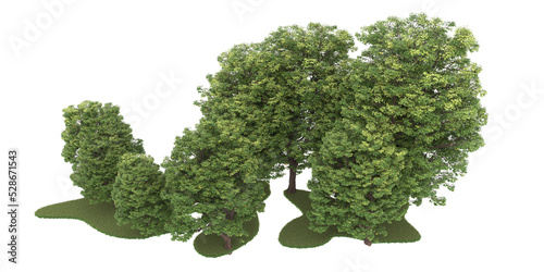 Forest on transparent background. 3d rendering - illustration