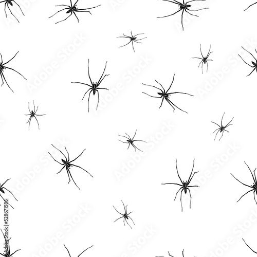 seamless pattern. Black spiders on a white background