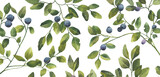 Blueberry leaves branches with berries. Watercolor pattern isolated on transparent background. Great for wedding invitation, greeting cards, decoration, stationery