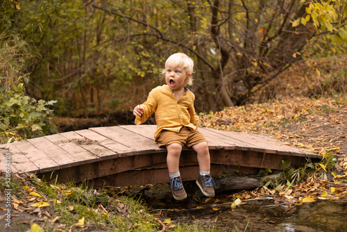 amazed toddler boy sitting on bridge over the stream in autumn or summer park with golden trees.