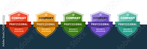 Certified logo shield badge. Security assessor sign certificate design. Vector professional logo mark.