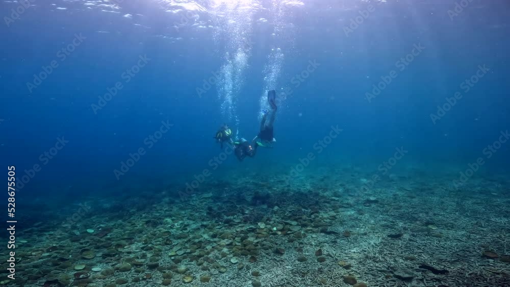 Scuba diving under water film of three scuba divers filmed from behind swimming off in the distance just above the ocean floor at Ko Tao island in southern in Thailand