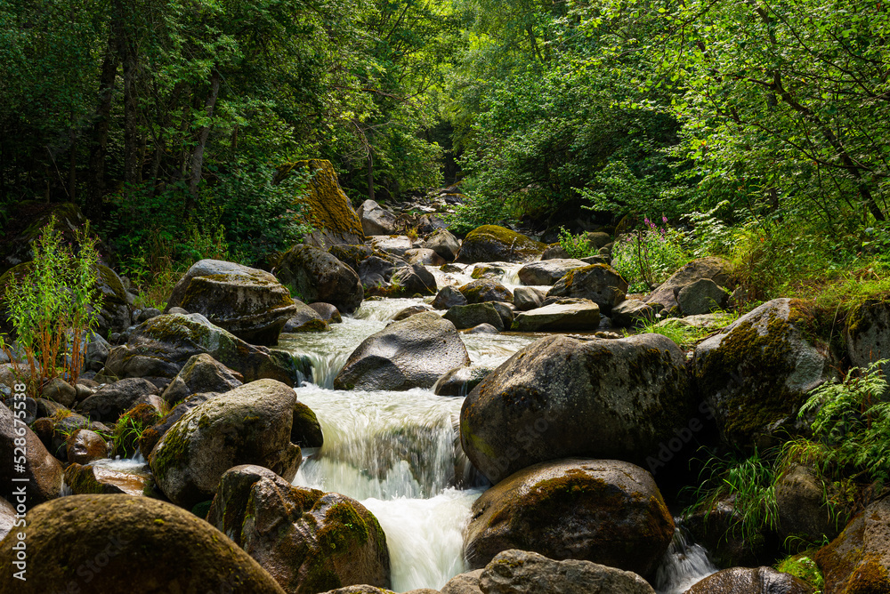 Photograph of a small river located in the Catalan Pyrenees