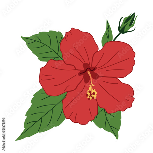 A red hibiscus flower in a hand-drawn style. Chinese rose. Vector illustration isolated on a white background
