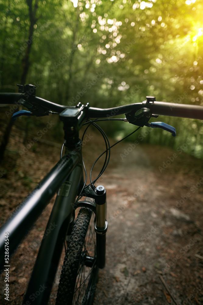 Fototapeta premium Bicycle frame, air suspension fork and handlebar with brake handle with forest background. Concept of using MTB on a path in the woods.