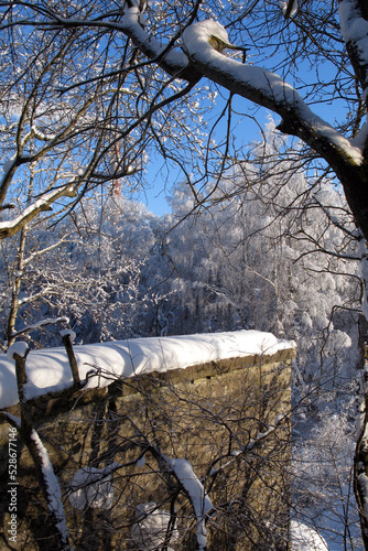 Trees and old wall in the winter