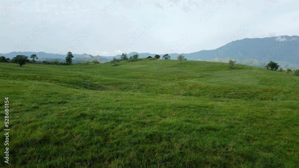 BPTU-HPT Indrapuri (Aerial view of grass on a cattle farm, (BPTU-HPT Indrapuri), Aceh, Indonesia). BPTU-HPT Indrapuri (Aerial view of grass on a cattle farm, (BPTU-HPT Indrapuri), Aceh, Indonesia).