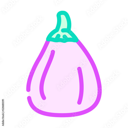 galine eggplant color icon vector. galine eggplant sign. isolated symbol illustration photo