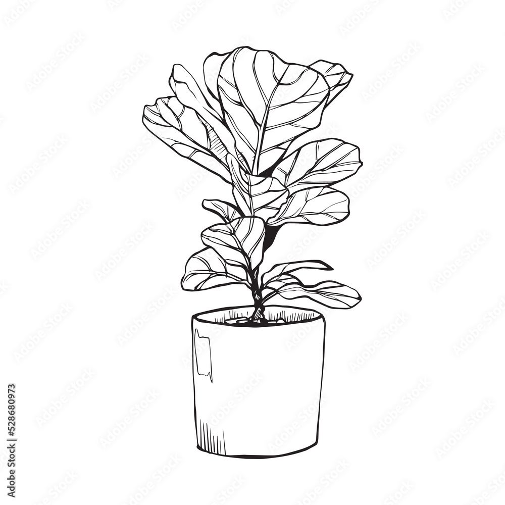 plant in a pot plant in a pot