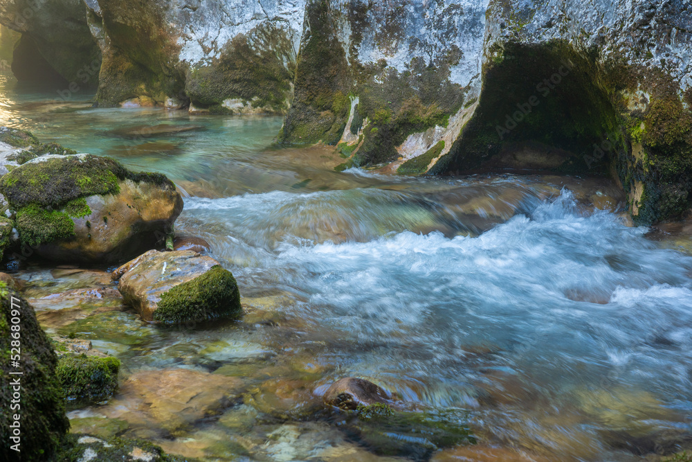 river in the forest river in the forest