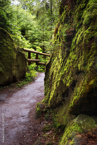 Natural landscape - view of hiking trail in the Elbe Sandstone Mountains, Bohemian Switzerland or Czech Switzerland, the north-western Czech Republic © rustamank