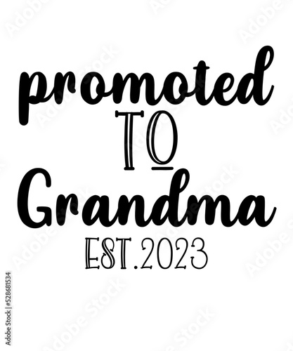 promoted to grandma est 2023is a vector design for printing on various surfaces like t shirt, mug etc. 
