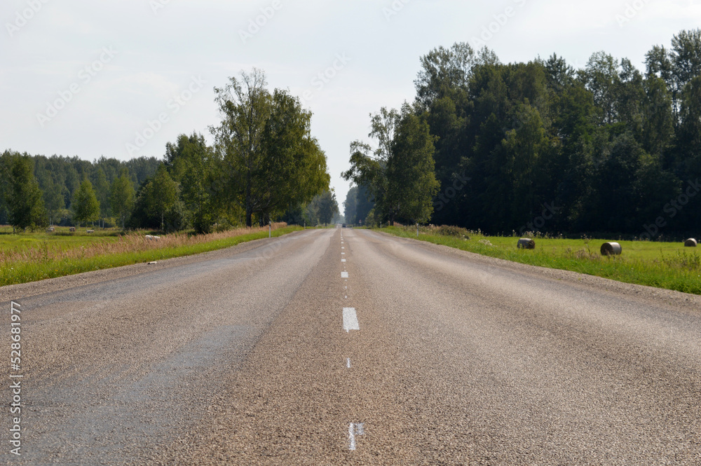 Fototapeta premium road in the countryside