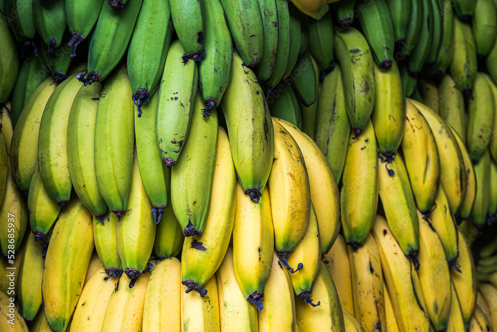 closeup of ripe bananas at market stall