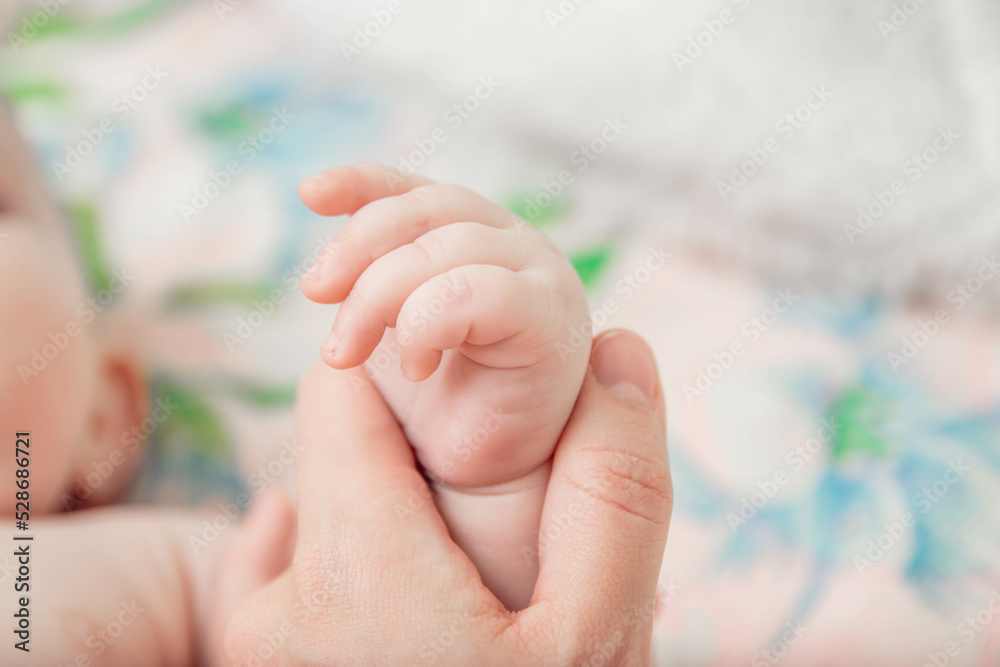 Small children's pens. Parents gently hold small children's hands. Close-up of the baby's hand and parents. Parents care about their baby. Small children's pens. Parents gently hold small children's hands. Close-up of the baby's hand and parents. Parents care about their baby.