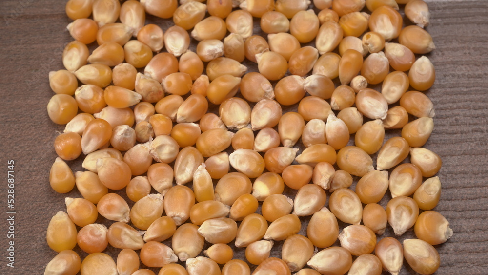Raw Corn Seeds or Corn kernels are from Maize is a grain, and the kernels are used in cooking as a vegetable or a source of starch. Raw Corn Seeds or Corn kernels are from Maize is a grain, and the kernels are used in cooking as a vegetable or a source of starch.