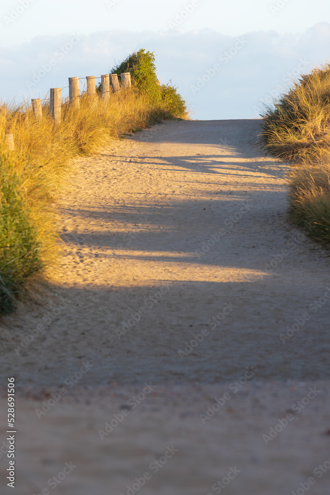 A golden hour sunrise at the sand Dunes near the North sea in the Netherlands seen from the beach in Zouteland, Zeeland. With the typical grass and sand paths for amazing walks.