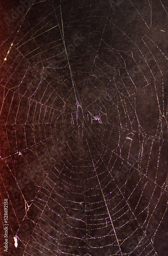 A round spider web with water splashes hangs in the red doorway in summer in sunny weather