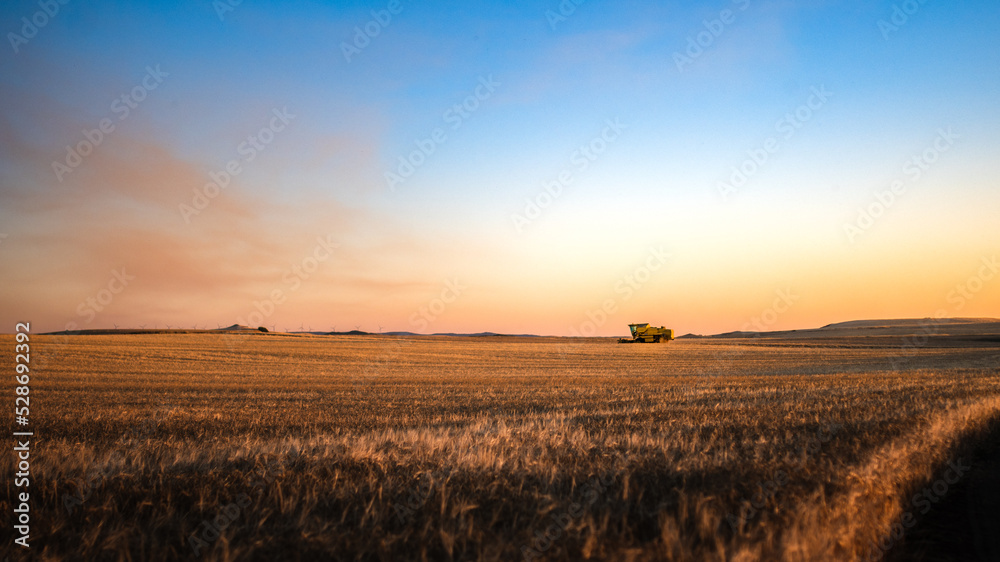 person in the field person in the field