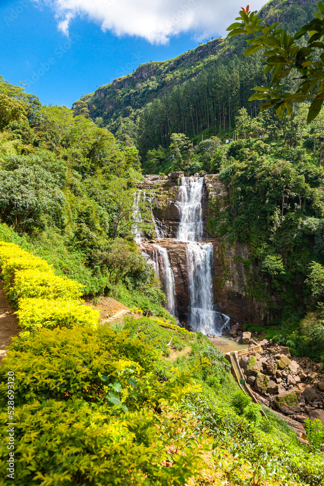Grandiose unusually beautiful waterfall in the green jungle of the island of Sri Lanka. Overall plan. Yellow plants in the foreground
