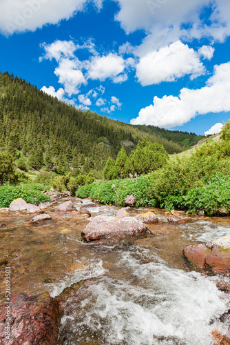 Obraz na płótnie Beautiful mountain river on the Assy plateau in the national park of Kazakhstan under a blue sky with clouds. Summer time w salonie