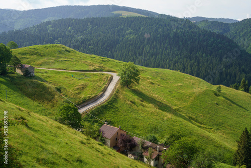 Landscape on the plateau of Asiago, Vicenza