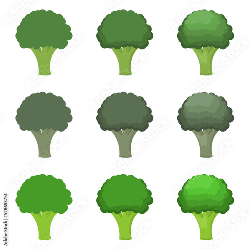 A vector drawn broccoli illustration with various colors and amount of details