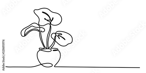 Continuous line Potted plants Vector illustration