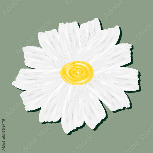Fényképezés Daisy flower head Watercolor vector illustration for greeting cards and invitati