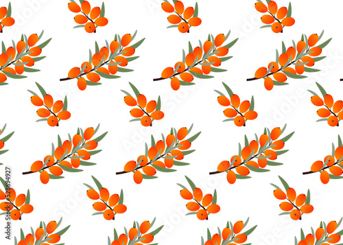 Sea buckthorn seamless pattern isolated on white. Fruits  berries  vitamins  natural food  healthy.