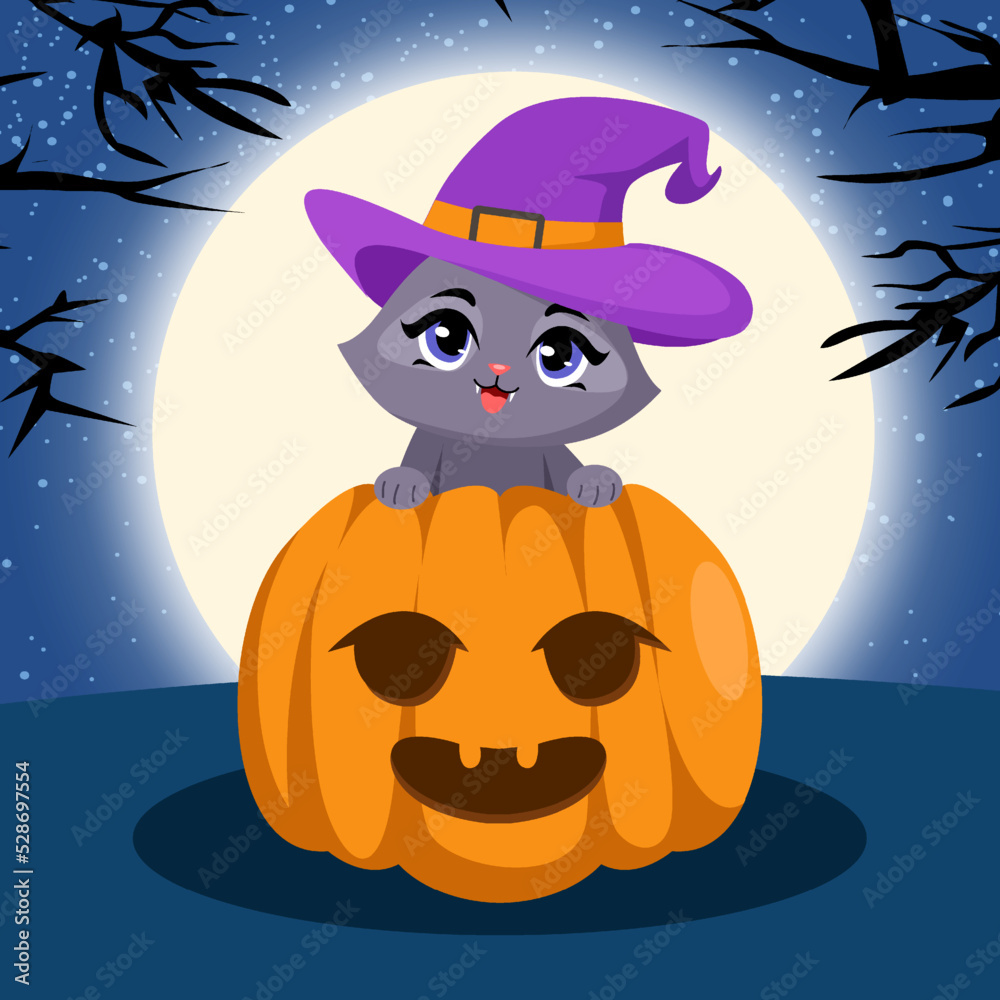 Pumpkin and cute wizard cat at halloween night