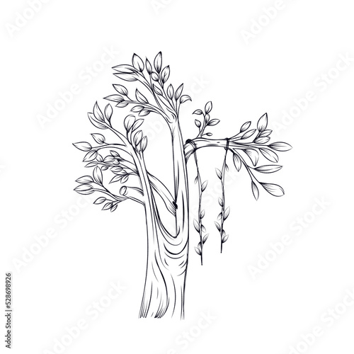 hand drawn tree in dreamy land