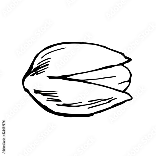 ピスタチオ単数＿シンプル線画モノクロイラスト